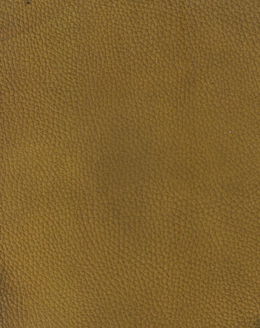 GRAIN BARTON NUBUCK